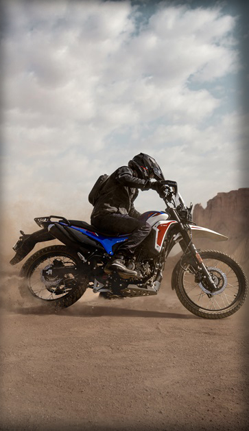 Xpulse Rally DNA